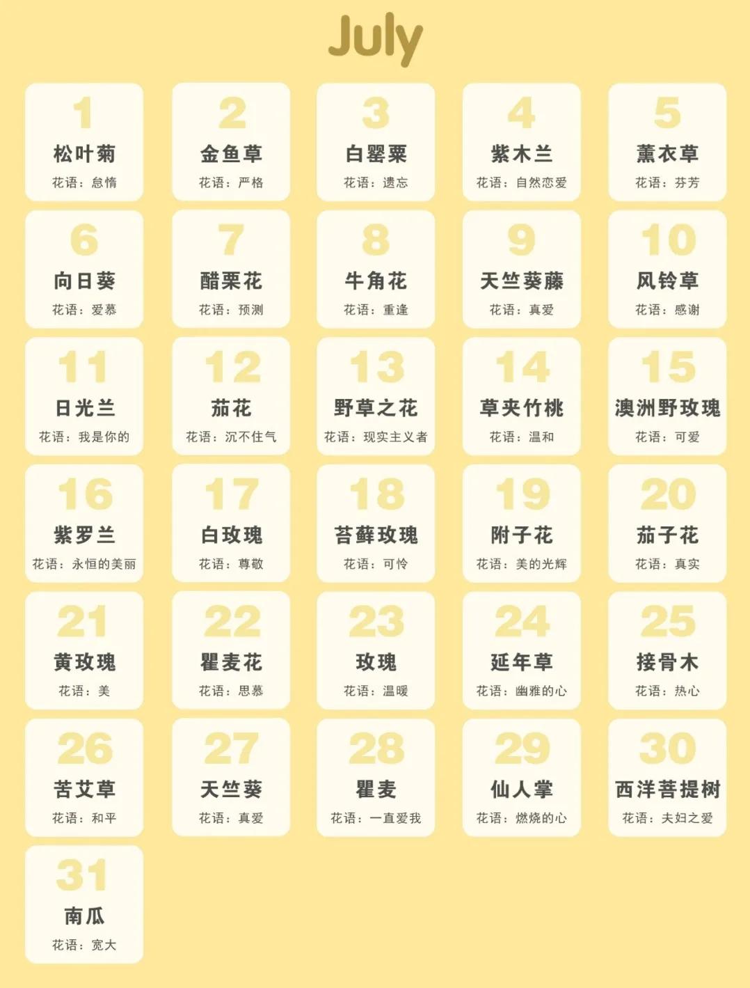 365生日花语大全,关于生日的花的花语