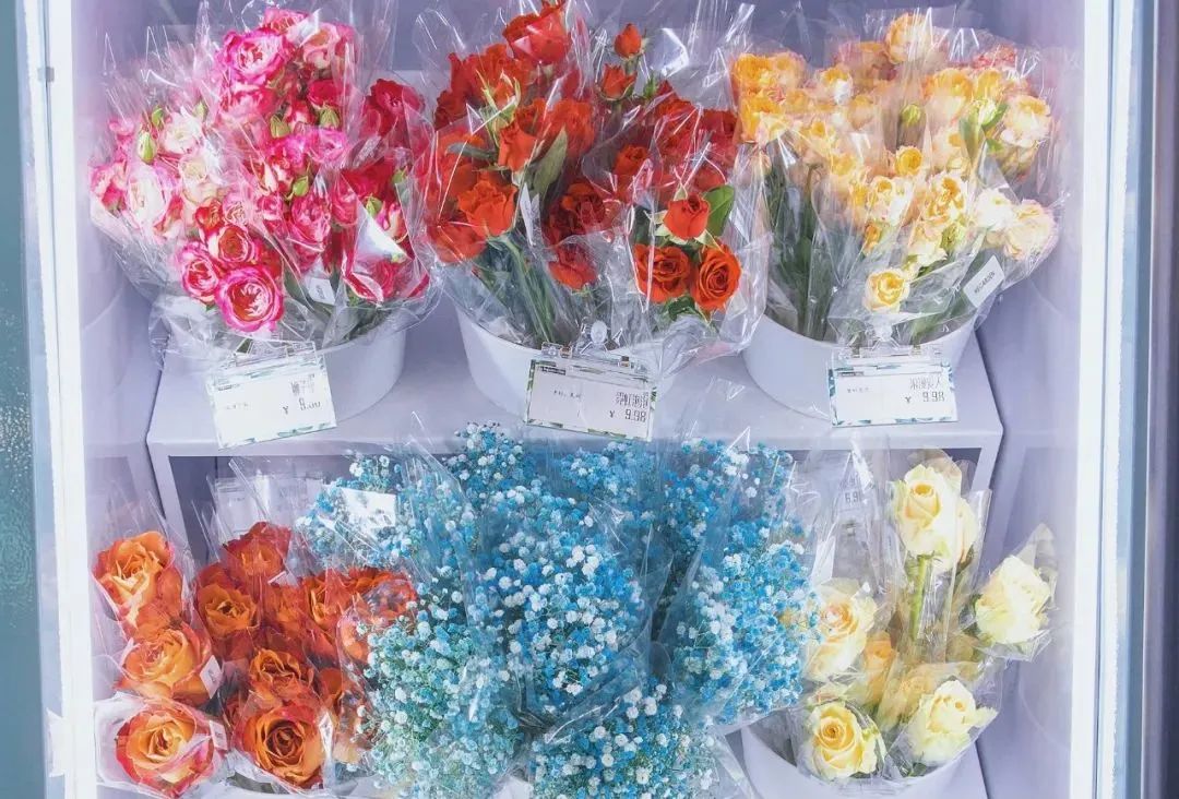 特种兵旅游第一人,八泉峡特种兵旅游攻略