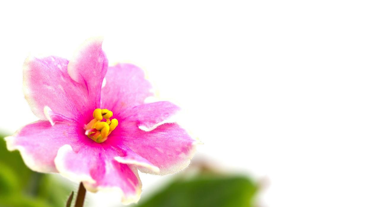 男人这样和你微信聊天说明想你了,怎么和男人聊天让男人喜欢你