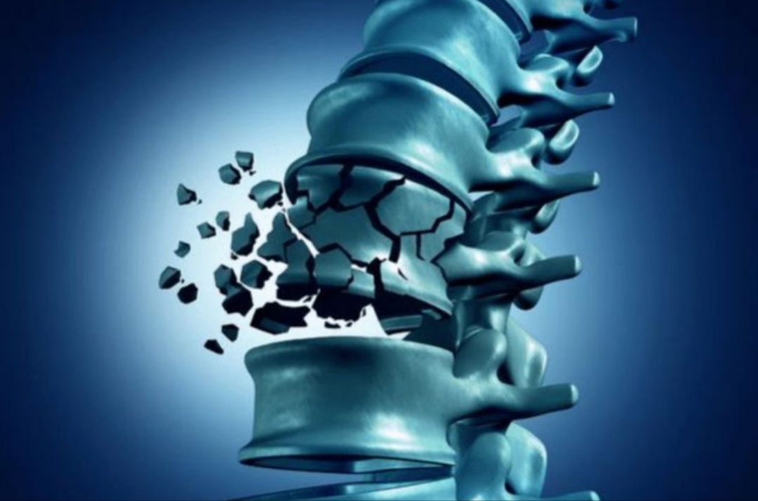 老年人吃点什么健康的零食,老人平时吃什么零食