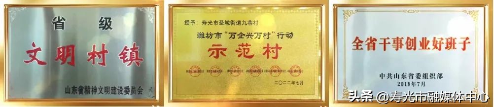 寿光大棚致富项目,寿光新农业项目