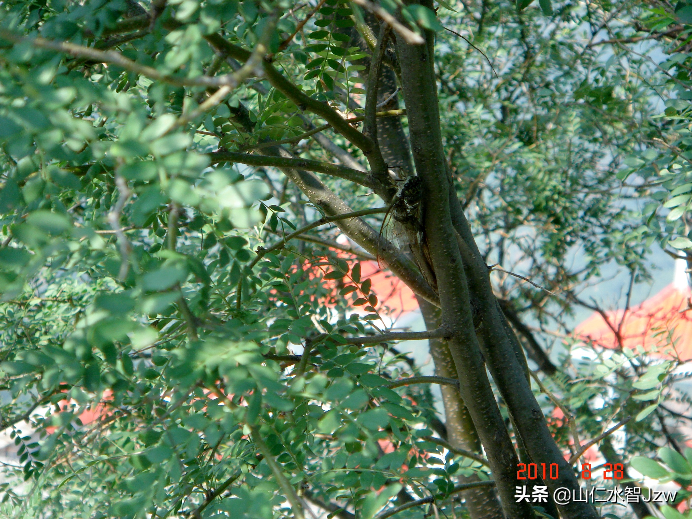 林州天河山,林州市天河村