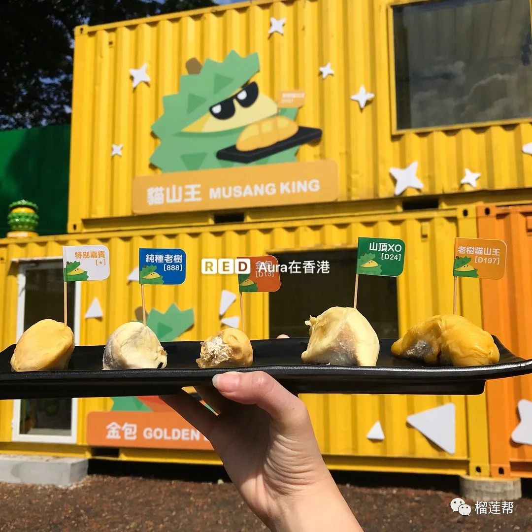 开一个38元榴莲店怎么样,开一家关于榴莲的店