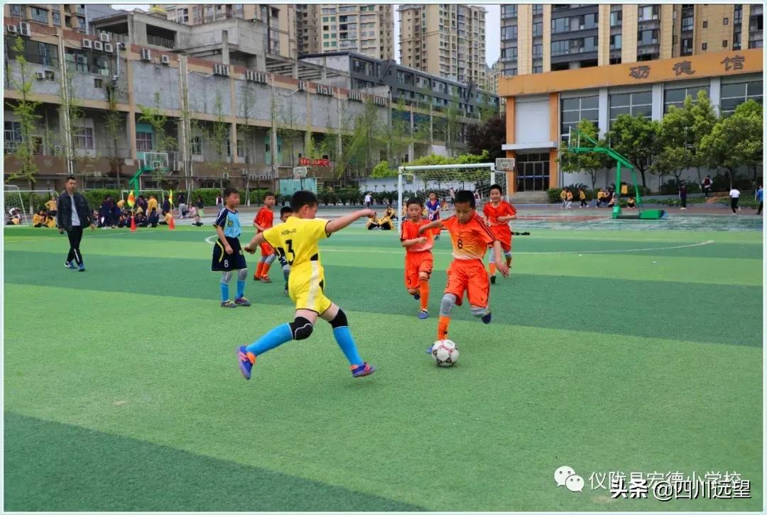 仪陇县新政小学足球联赛2023,仪陇县新政小学第九届足球比赛