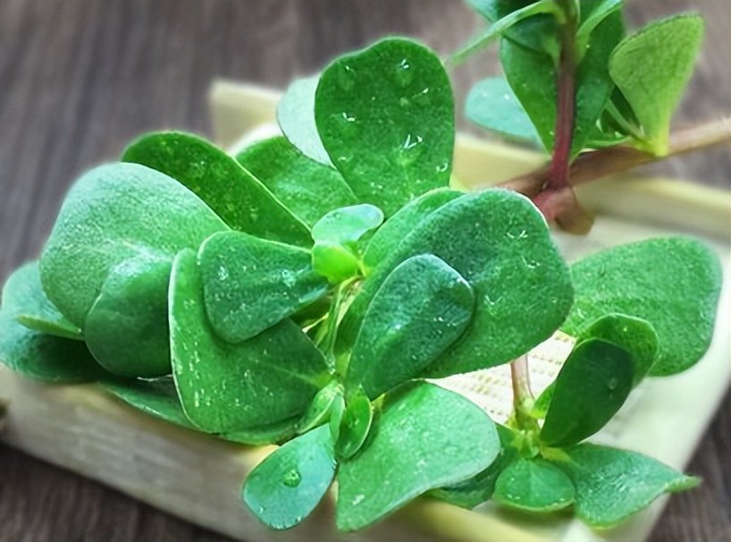 2022年国际护肤品牌成分排名,强效补水护肤品成分测评