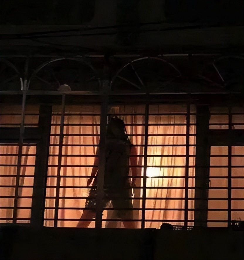 有多少人买电车后悔,有多少人买了电车后悔