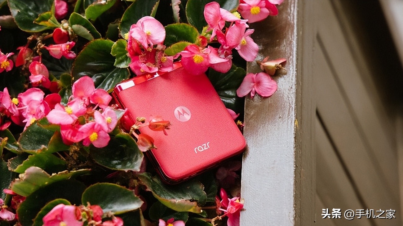 motorazr40ultra外屏打王者,motorazr40ultra屏幕有几种手势操作