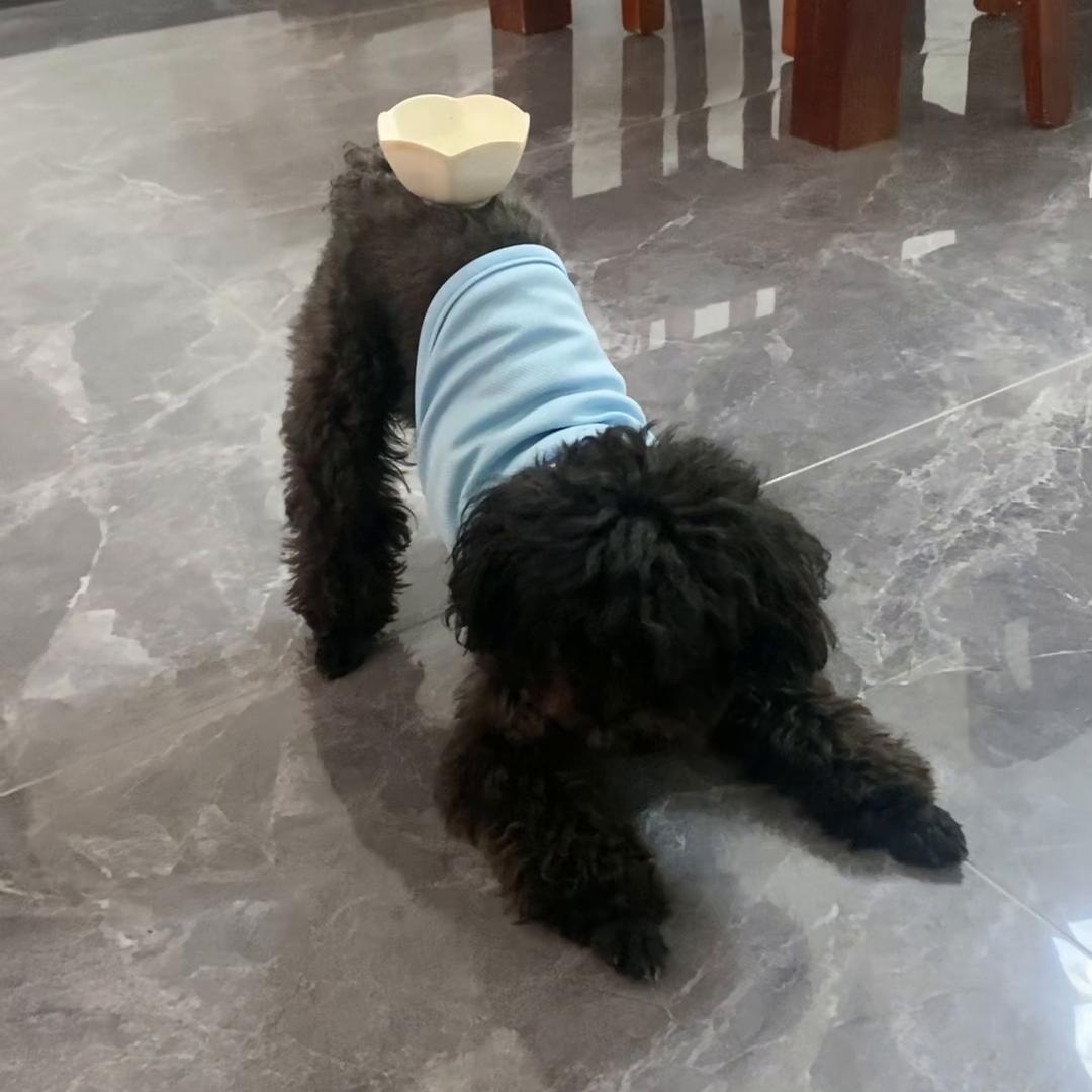 哈哈，真小气，想让他出点钱，太难了