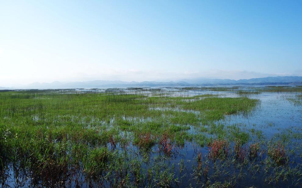 贵州高原上的明珠威宁草海,威宁县高原明珠最新视频