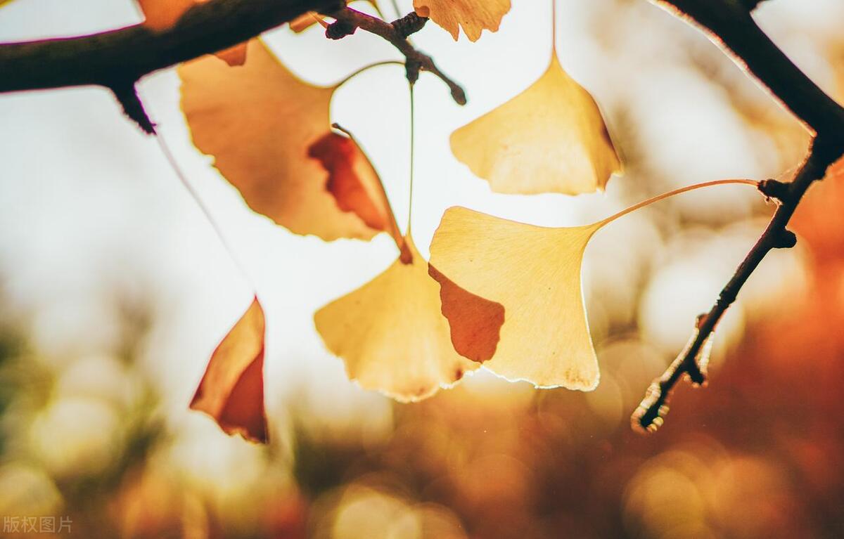 从零如何开始做小红书,新手如何从零开始做小红书