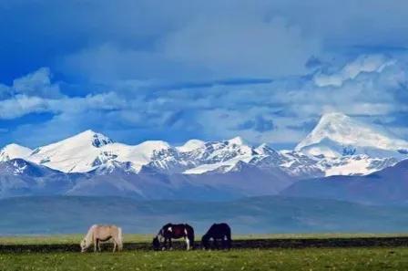 西藏无人区旅游攻略,2021西藏必火的7个旅行地此生必去