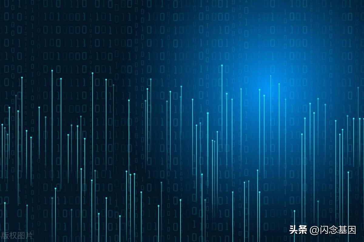 ip2region2使用教程,ipv2地址是多少位二进制