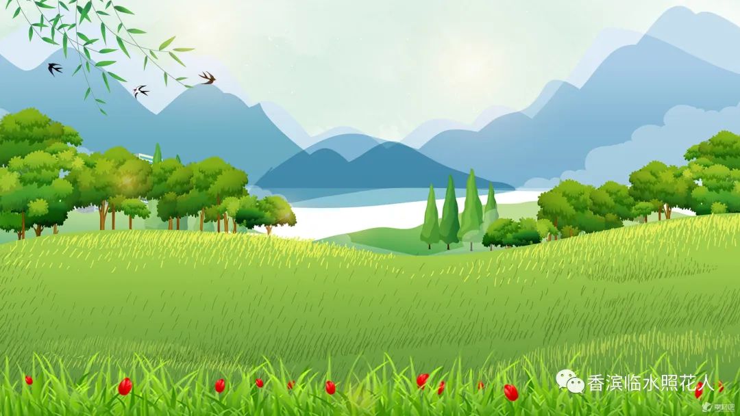 这儿真美作文三年级思维导图,三年级上册作文这儿真美思维导图