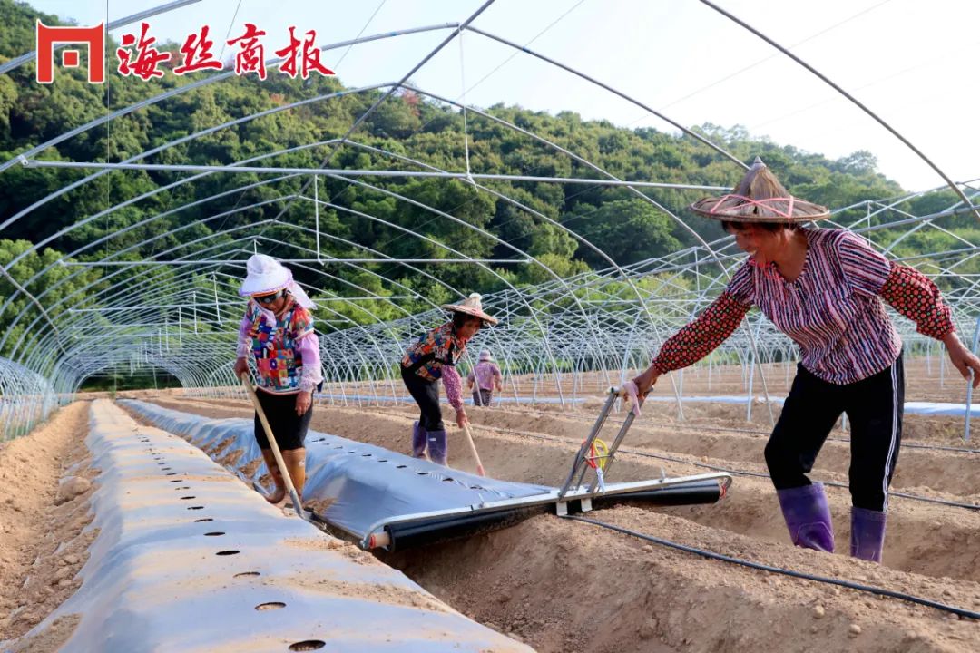 南安石井工业用地2亩,南安土地面积