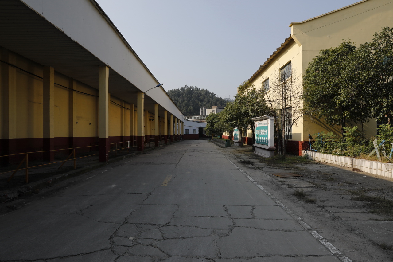 东风轮胎厂家,东风轮胎厂历史