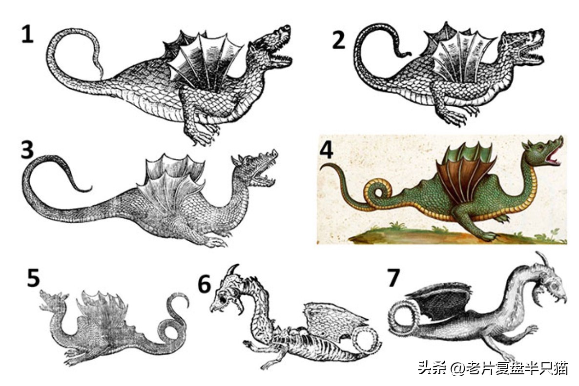 哥斯拉20个泰坦解析,哥斯拉2泰坦巨兽彩蛋