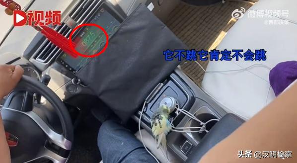 西安今天公交的新消息,陕西西安公交调整路线最新消息