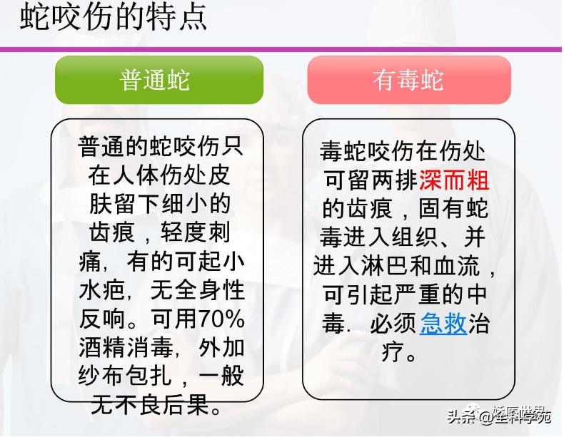 烧伤烫伤防护与急救知识英文,烧伤冻伤如何处理