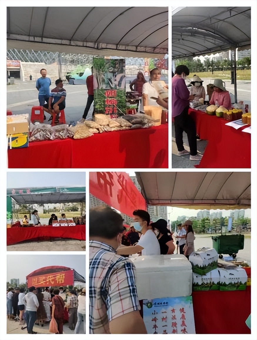 东方成功举办“三月三”系列节庆活动，百人黎锦大赛成最热打卡点