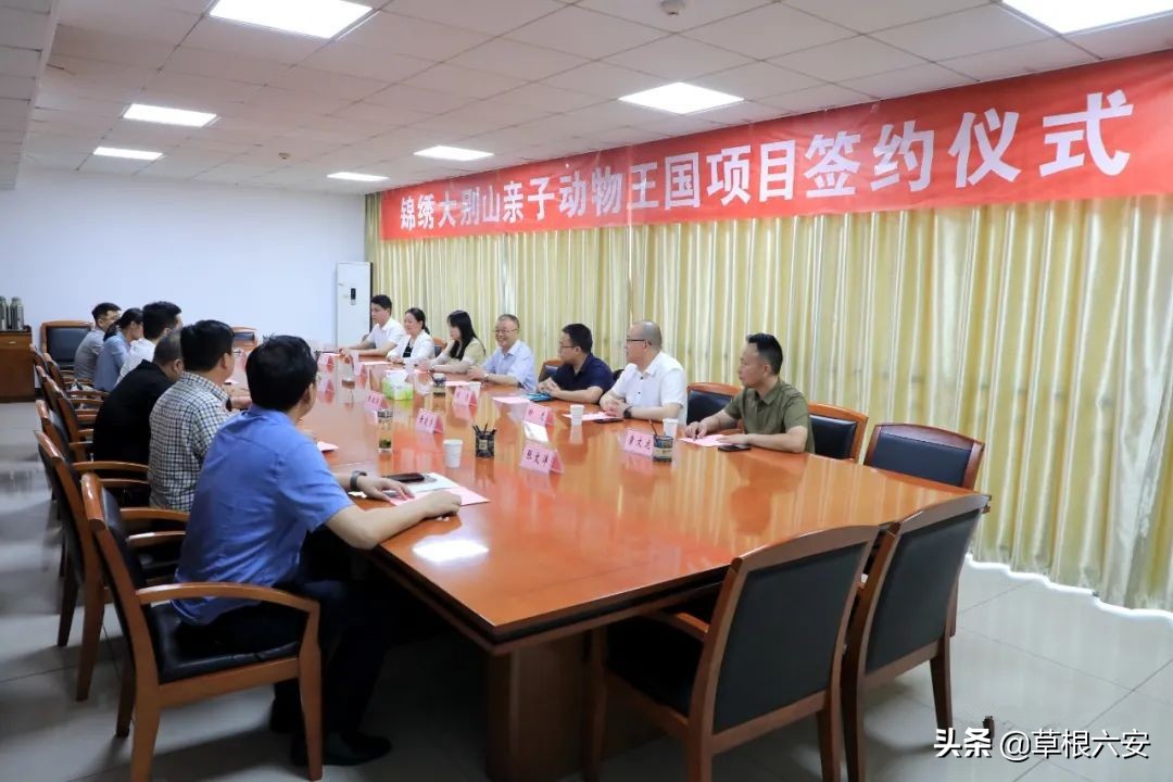 动物园新消息,肥东动物园新消息