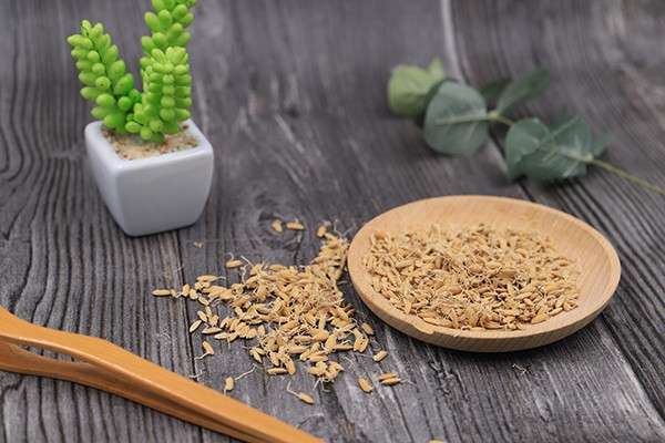 身上起红色小点点是不是hpv,身上有红色小血点跟hpv有关系吗