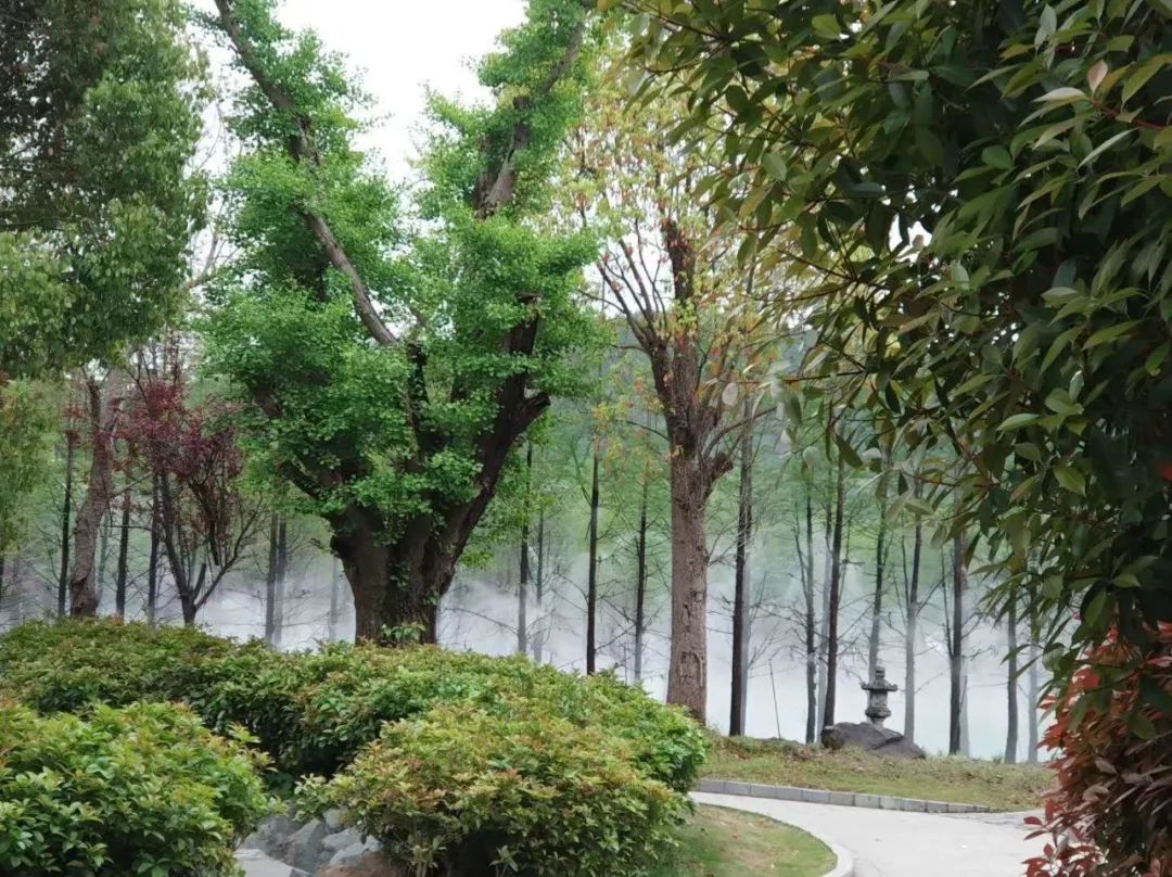 最美江宁四月天,我们只谈春暖花开,诗词歌赋,不聊红尘俗世