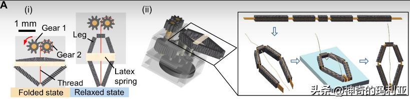 用于无线控制毫米级机器人的磁致动齿轮箱，其究竟有何作用