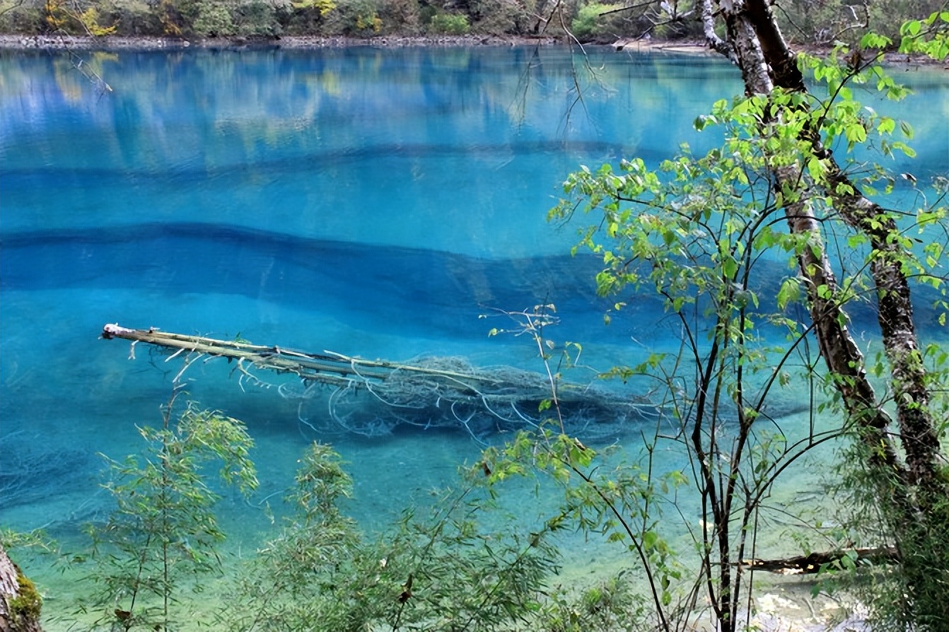 四川旅游导游推荐,四川成都自由行怎么找当地的导游