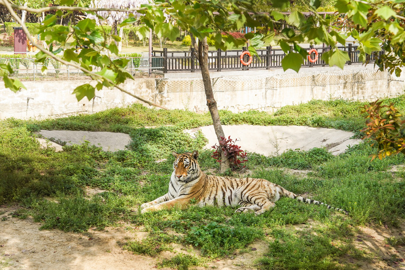 宿州两日游,宿州旅游攻略三日游