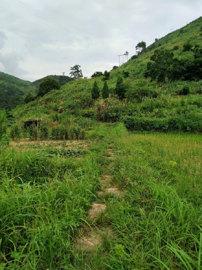郴乐古道之水头江宜乐古道--广东省乐昌市庆云镇