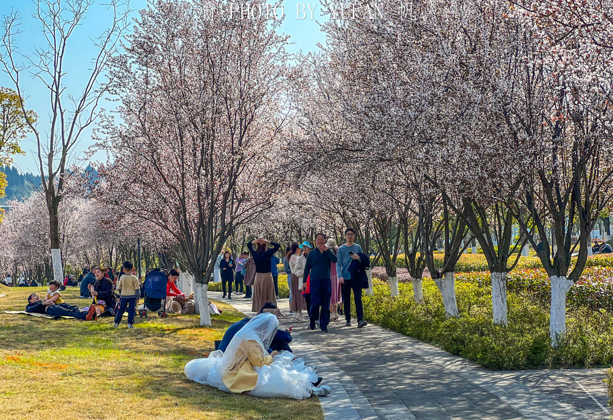 重庆潼南区有哪些好玩的,重庆潼南生态公园
