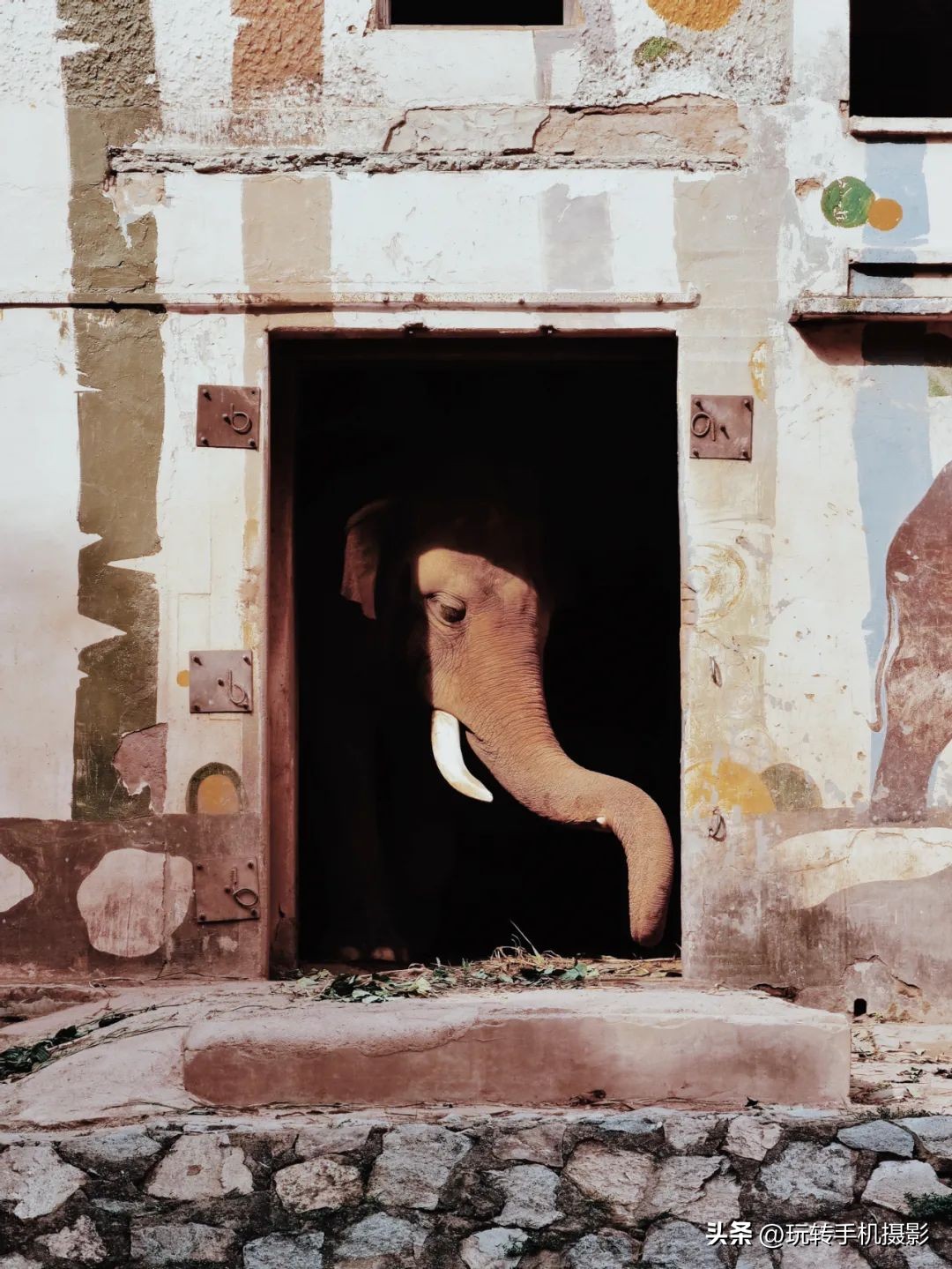 广州拍照打卡地点推荐秋冬,广州旅游拍照打卡点