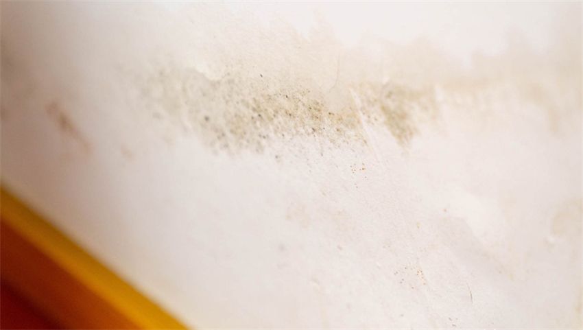 好的小家电真的能提升生活幸福感,让人幸福感爆棚的小家电