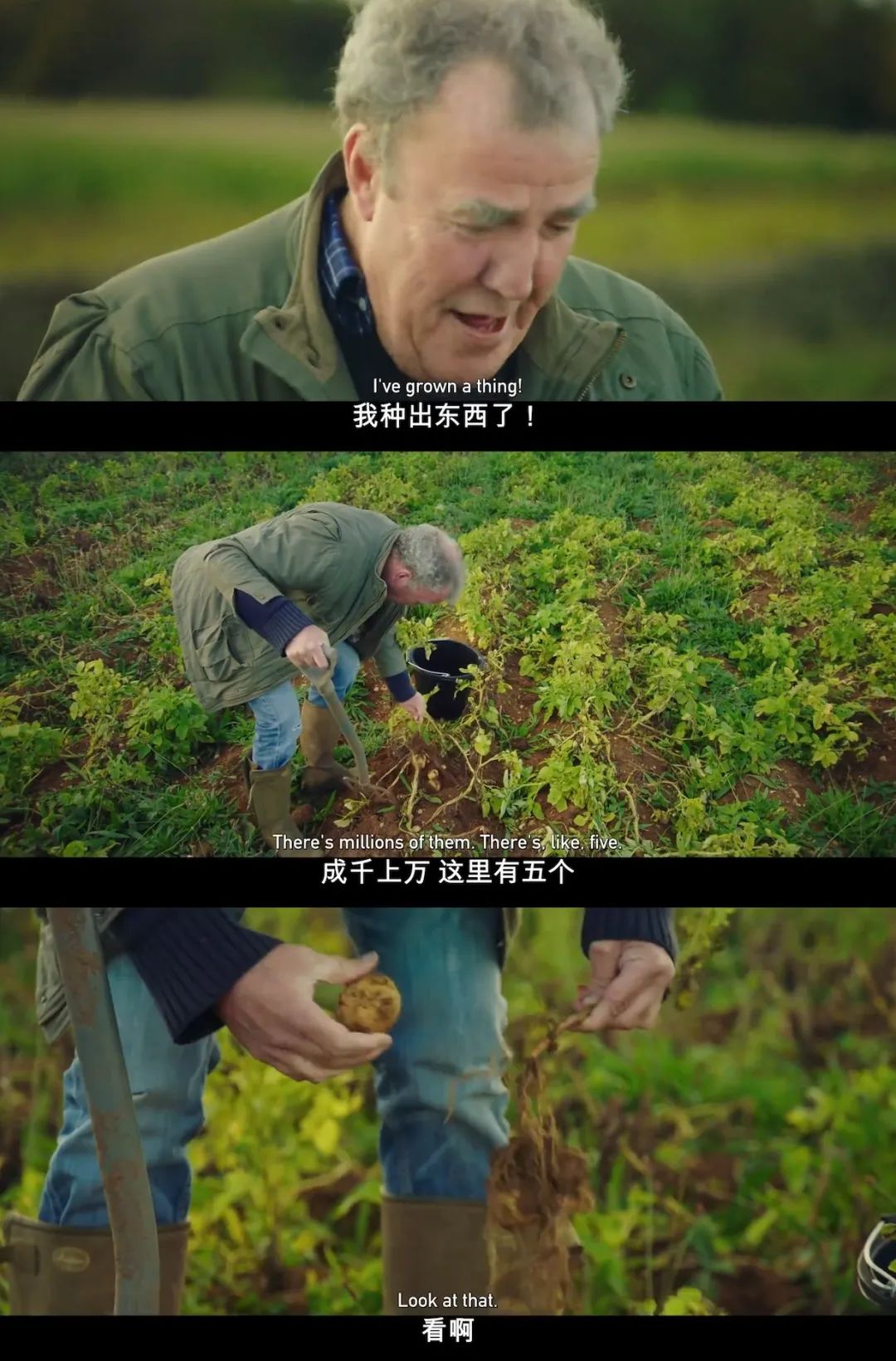养猪养狗种田真人秀,真人秀十个男生种田
