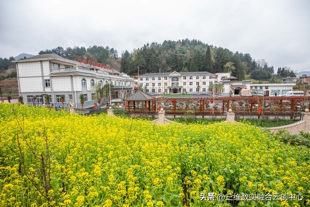 农业发展重点突破,农业创新发展模式