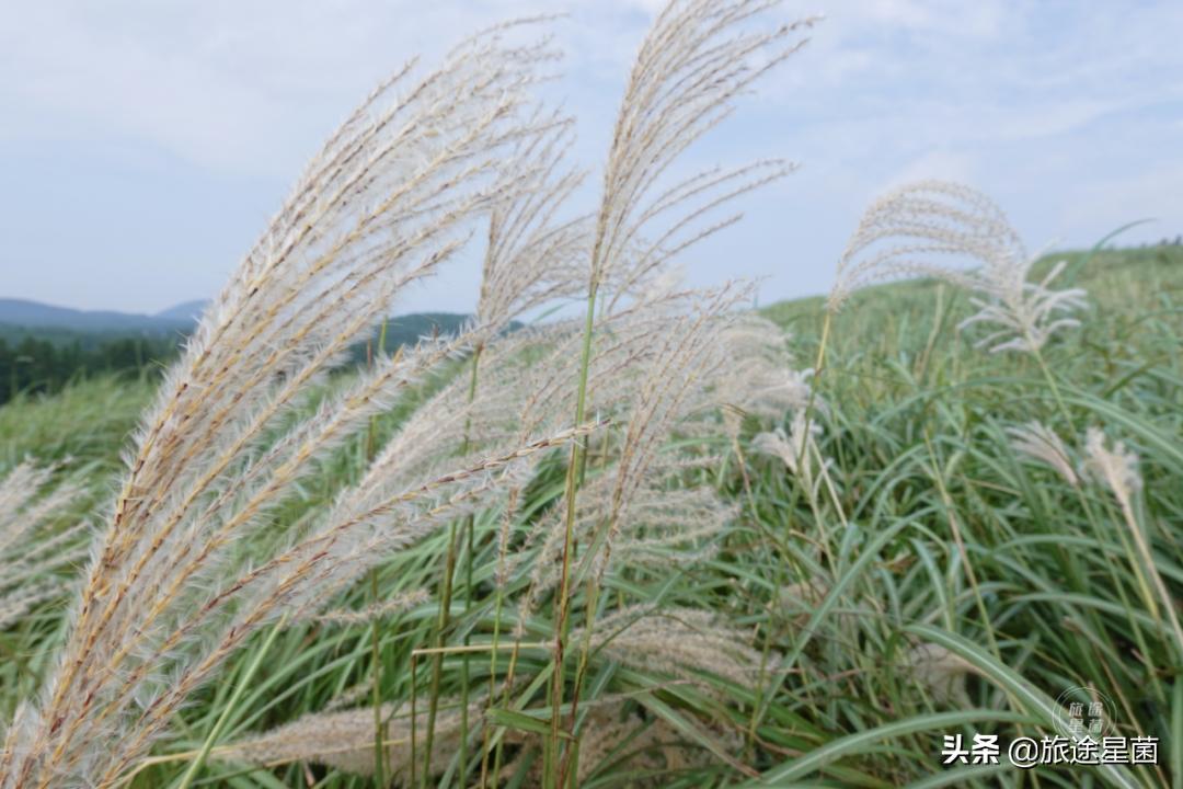济州岛的冬季雨,三月份韩国济州岛