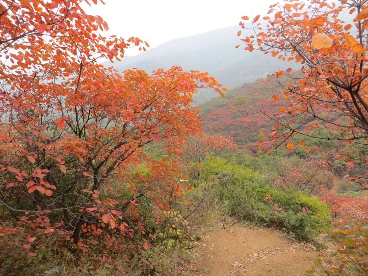 海内东经原文,海内东经原文全文