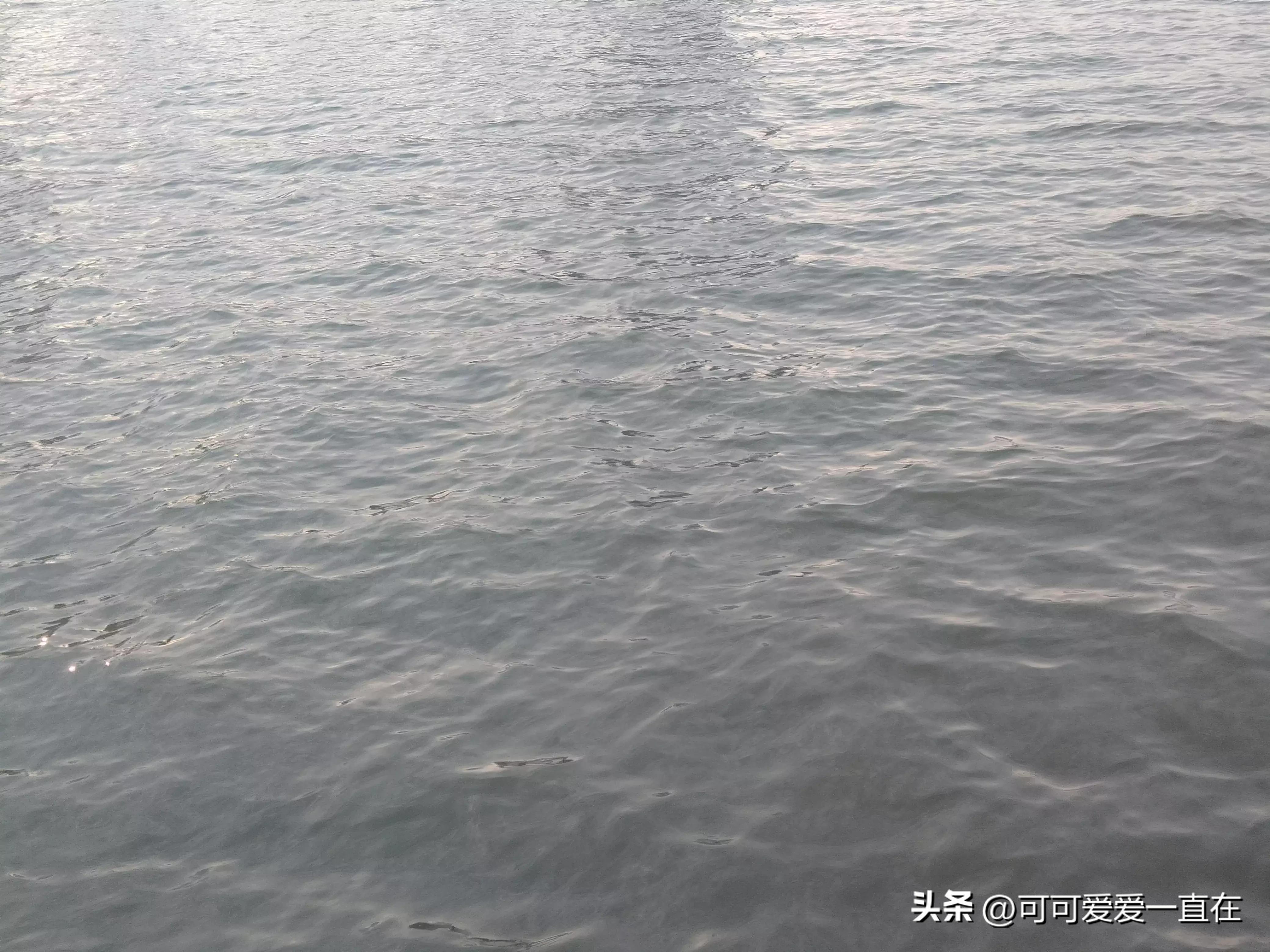 核酸收费,核酸收费多少钱一次