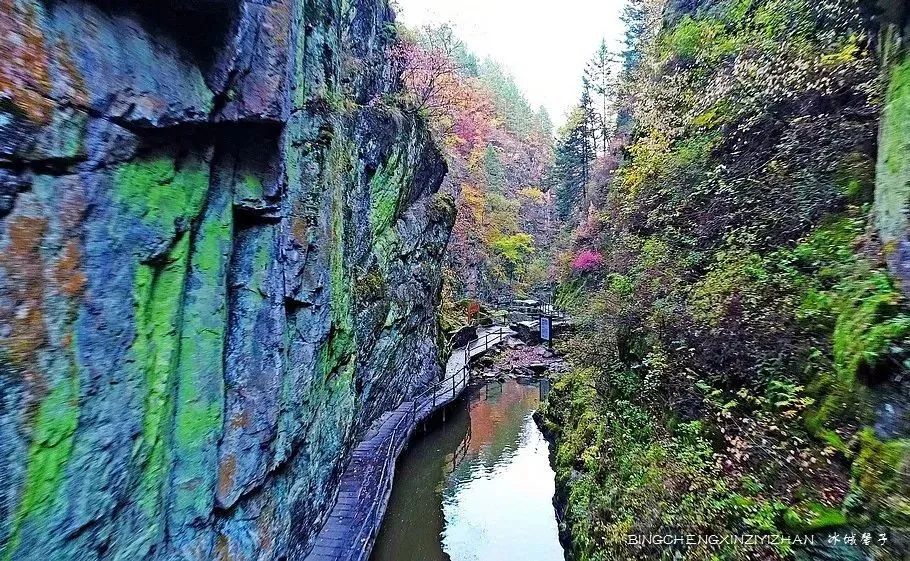 黑龙江恐龙之乡嘉荫县,中俄边境伊春市嘉荫县