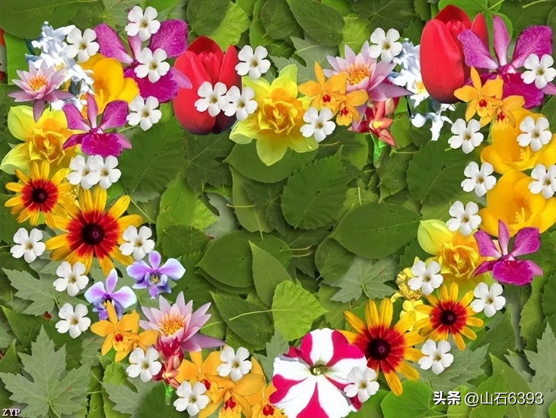 【战友美文】郭福成（天王福哥）：《相遇在春天》（诗）