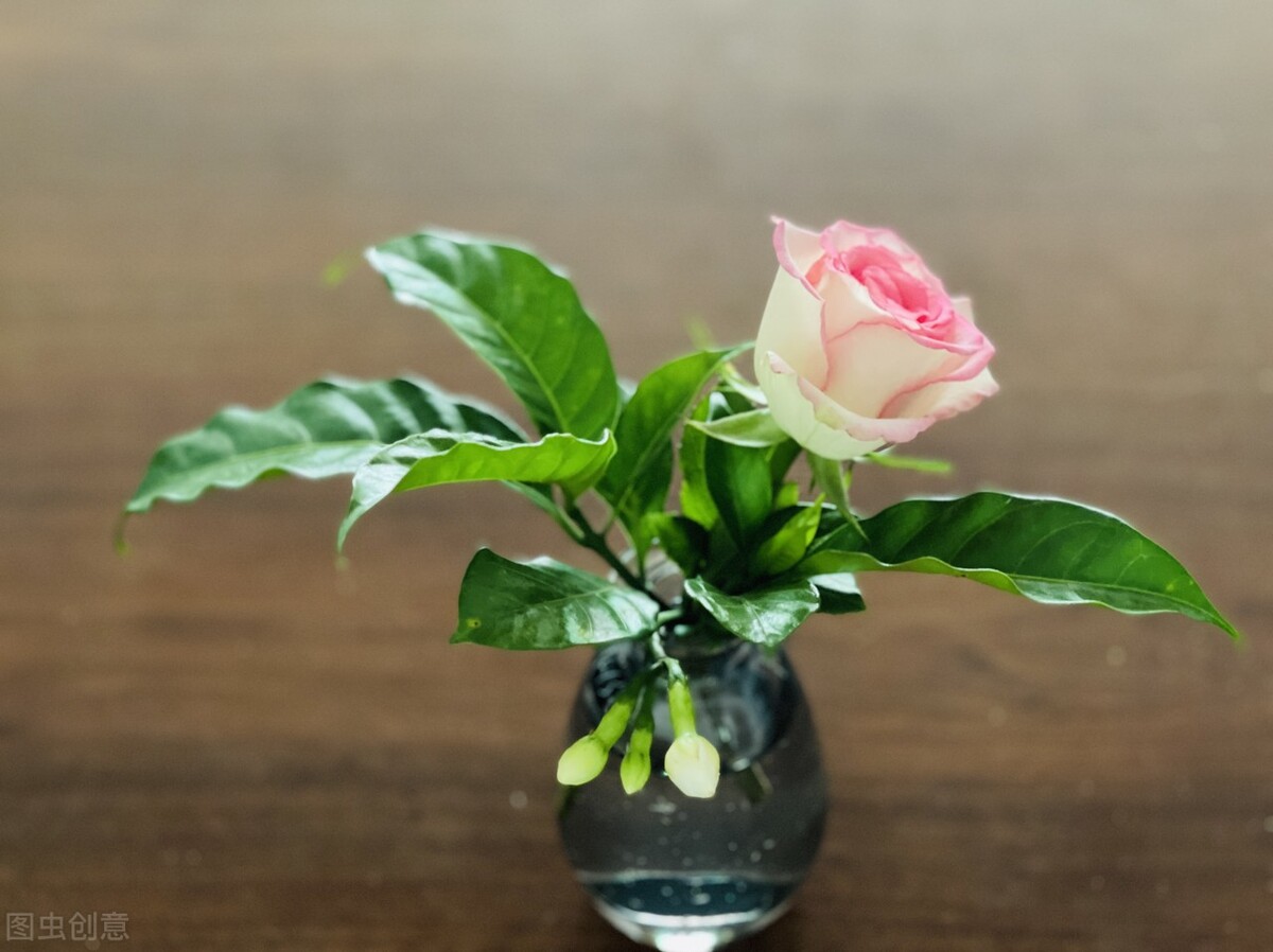 愿被岁月温柔以待琴瑟在御,愿琴瑟在御岁月静好下一句