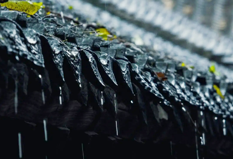 2023年是双春黑兔年吗,2023年是黑兔年说法是真的吗