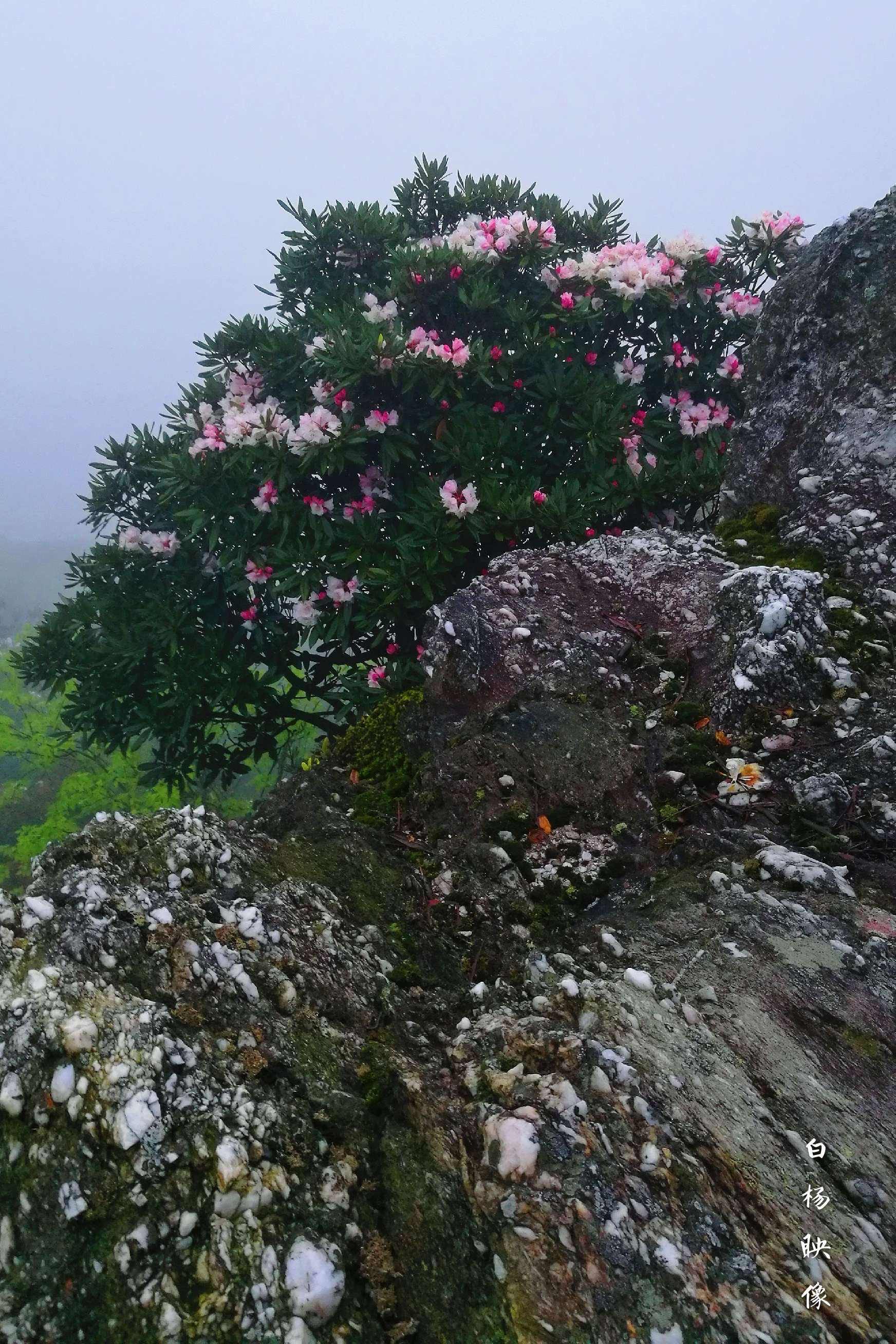 高高的紫云山,我们的青春故事曾在这里演绎