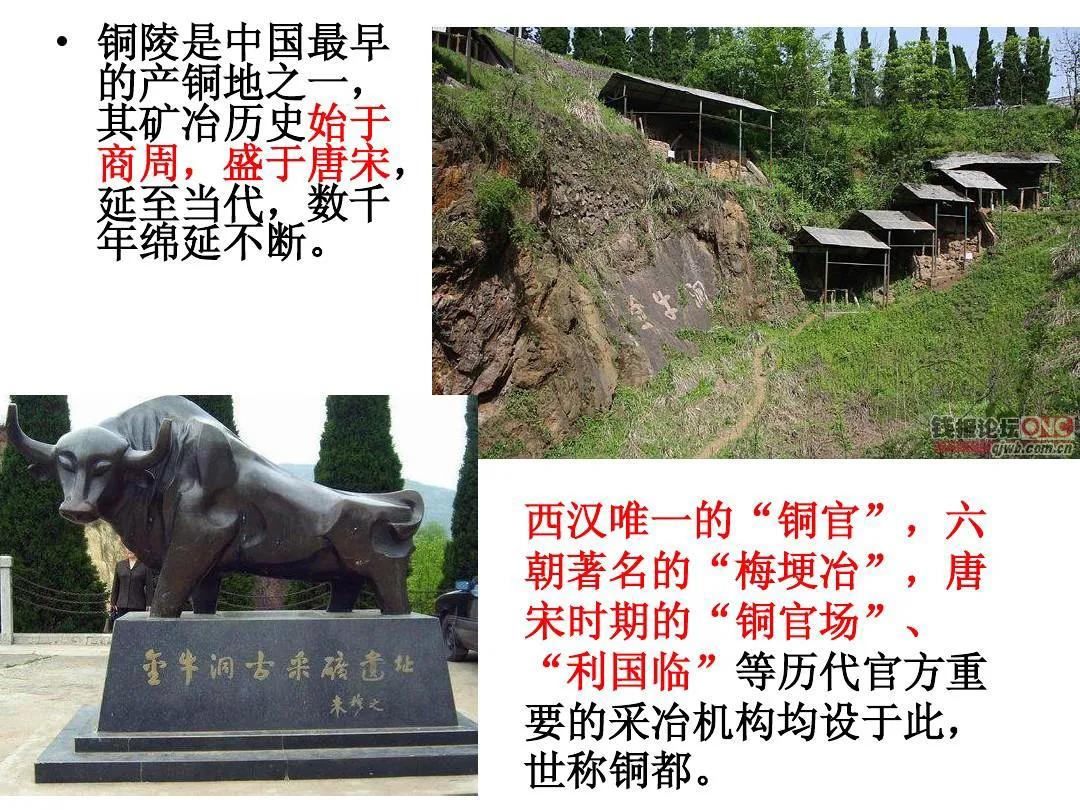 铜陵地域文化,铜陵学院疏仁华