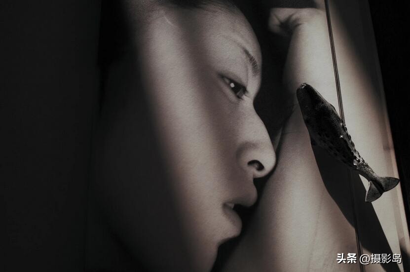 最好看的日系写真,日本十大摄影作品