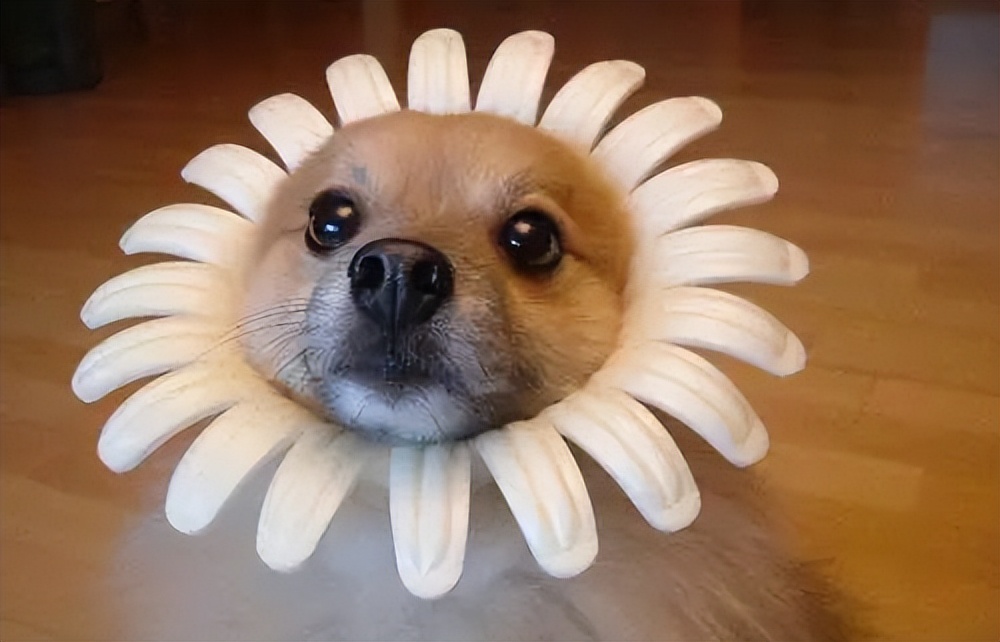 热火更衣室气氛紧张,热火压力山大