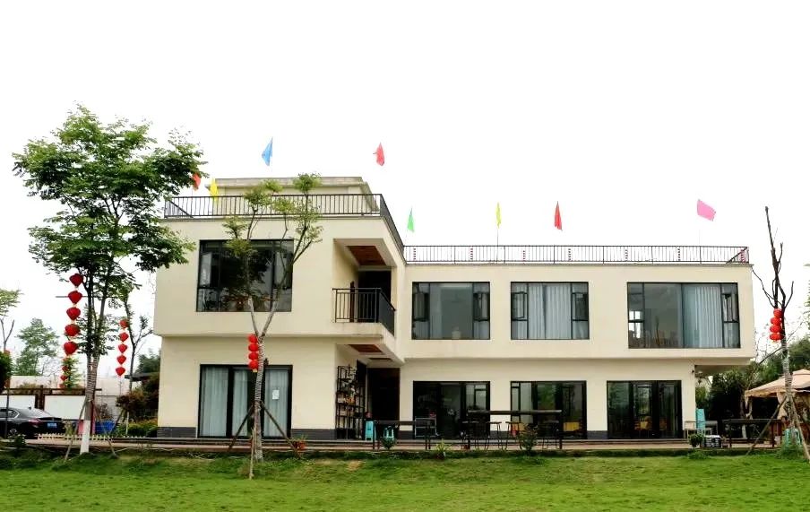 可可爱爱！华硕园里的“高颜值”小番茄成熟啦！