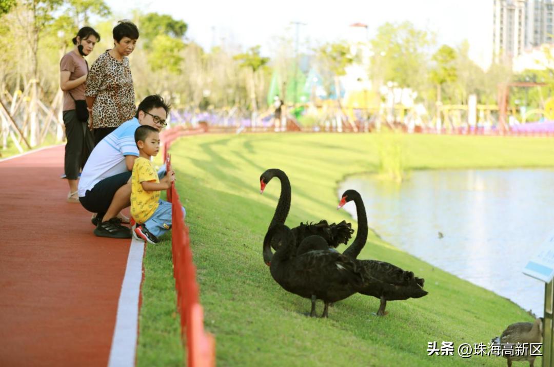 登山赏景、运动健身…快来打卡高新区秋游好去处！