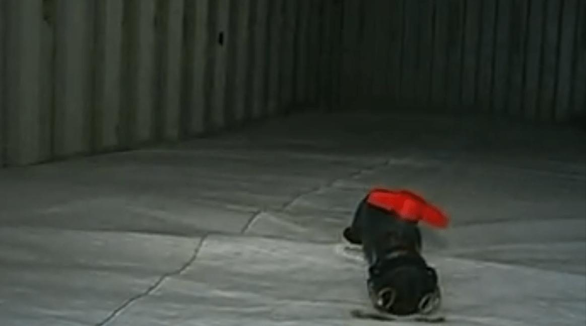 天啊！广东男子花13万进口美国海水，一年后靠这海水赚了盆满钵满