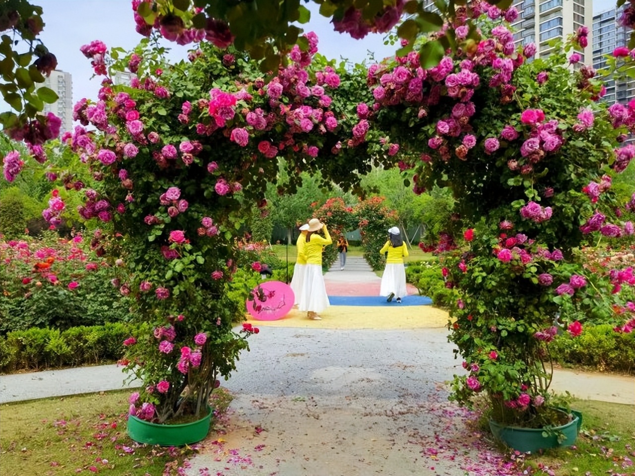 美丽的郑州北龙湖湿地公园,郑州四季如春的公园